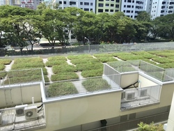 Blk 10B Tiong Bahru View (Bukit Merah), HDB 4 Rooms #214831561